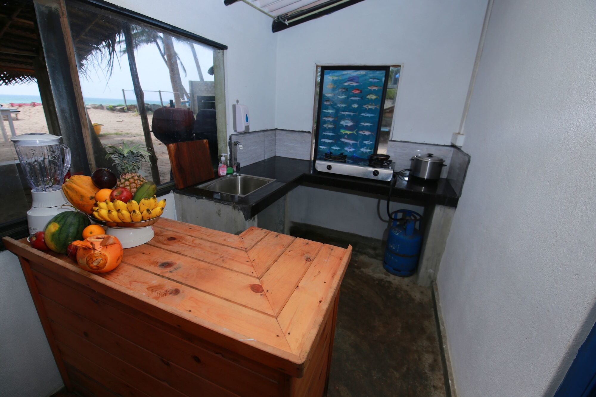 Bluefin Adventure And Deep Sea Fishing Hostel Hikkaduwa Exterior photo